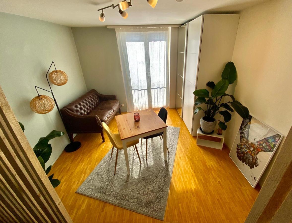 Limmatspitz Apartment Gebenstorf ภายนอก รูปภาพ