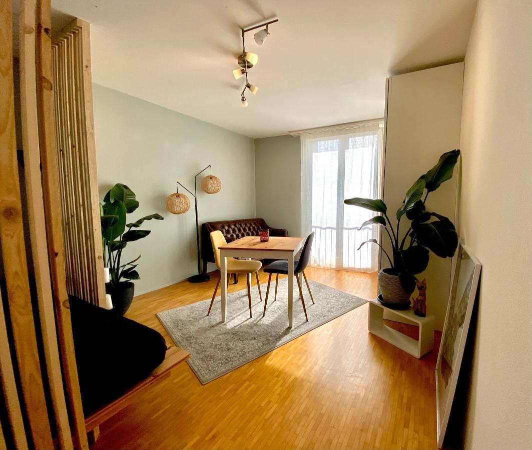 Limmatspitz Apartment Gebenstorf ภายนอก รูปภาพ