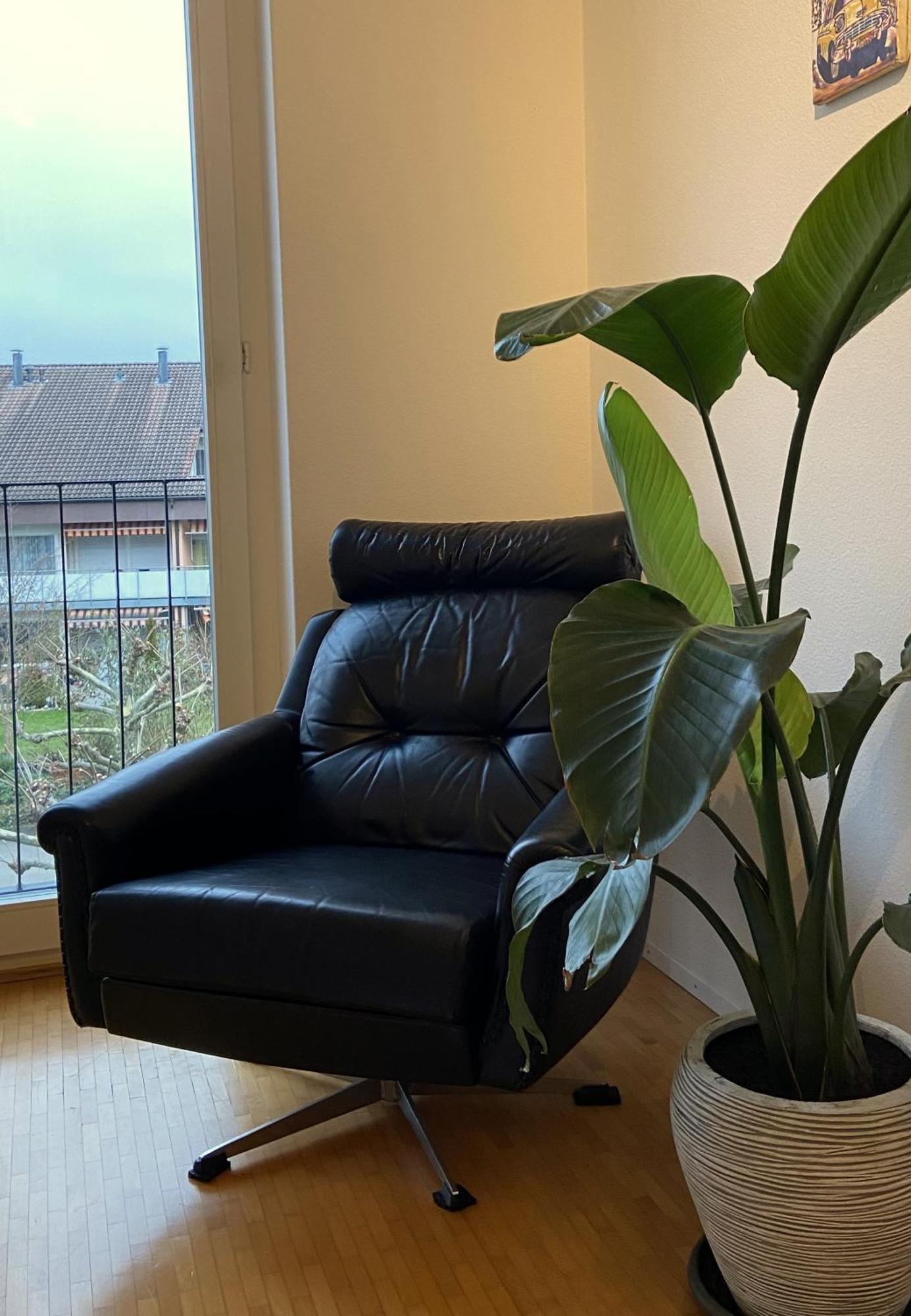 Limmatspitz Apartment Gebenstorf ภายนอก รูปภาพ
