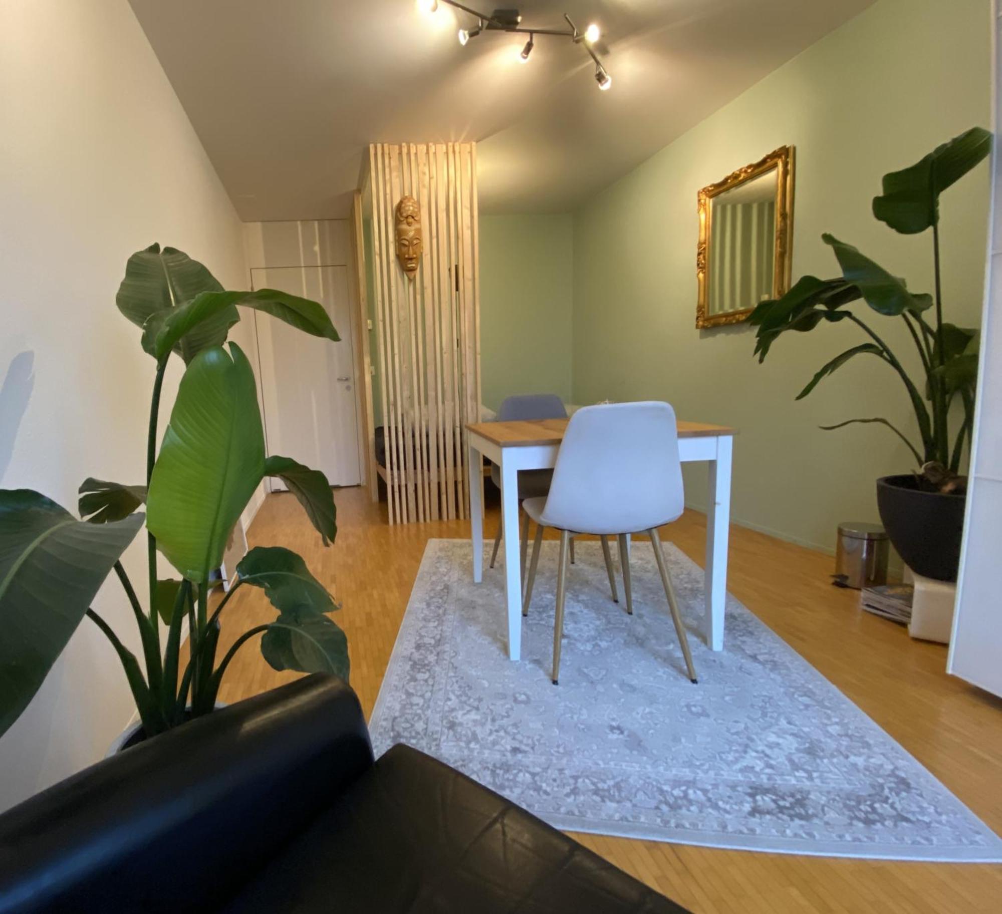 Limmatspitz Apartment Gebenstorf ภายนอก รูปภาพ